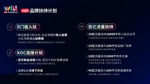 月活破億小紅書 從生活方式平臺到新品牌孵化器的戰略升級與基礎軟件服務賦能