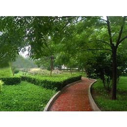 苗木園林工程-園林工程-清和園林廠家直銷(圖)