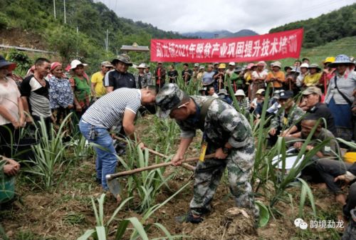 產業技術培訓 助推脫貧鞏固