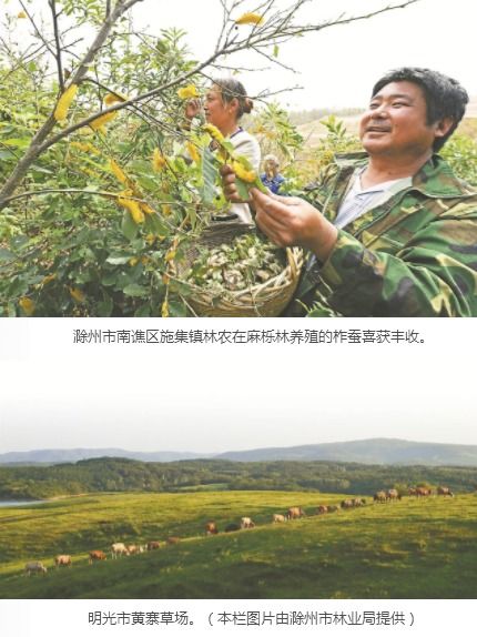 媒體看滁州 滁州市人民政府