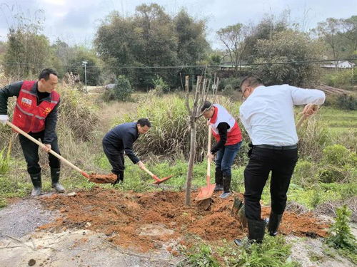 剛剛,廣東一區長被查